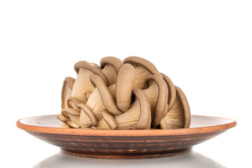 Fresh organic porcini mushrooms on a ceramic plate, macro, isolated on white background.