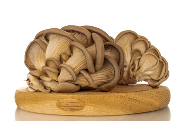Fresh organic porcini mushrooms on a wooden tray, macro, isolated on white background.
