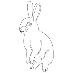 hare sketch on white background ,outline isolated