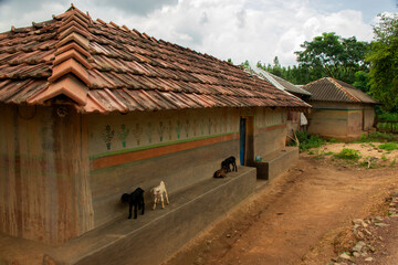 The houses in a tribal village of Bengal in India is made out of mud and are beautifully decorated paint with colours.