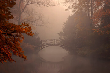 Krajobraz jesienny. Poranek we mgle. Park