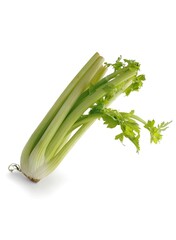 leaf and root celery as tasty vegetable isolated