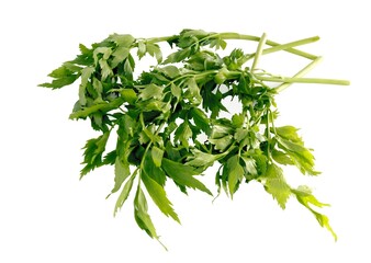 green leaves of lovage as herb and spice for cooking