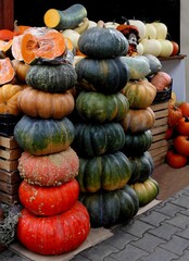 multicolor various pumpkins as wholesome vegetable