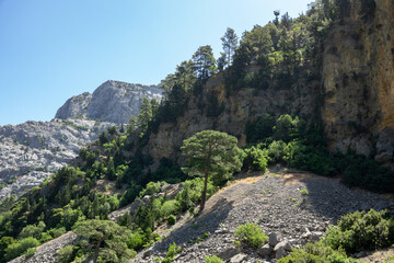 Fototapeta na wymiar View of the mountain cliffs of the Green Canyon. Landscape of Green canyon, Manavgat, Antalya, Turkey