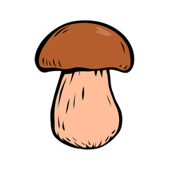Porcini sketch. Edible forest mushroom. Brown mushroom cap. Delicious nutritious natural food. Healthy ingredient for cooking. Cartoon vector art illustration on white background. Hand drawn style