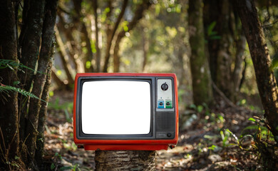 Red retro old-fashioned TV with cut out screen in forest background, outdoor