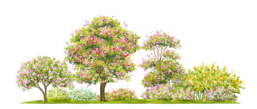 watercolor blooming flower tree or forest side view isolated on white background for landscape and architecture drawing,elements for environment or and garden,botanical for section in spring 