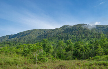 Fototapeta na wymiar tropic hills at morning