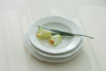 Three white plates of different sizes