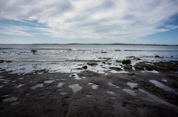A storm has washed away the sand on a beach in co. Mayo, Ireland. Only black peat now remains. Here and there stumps emerge, called bog oak, remnants of a forest long ago.