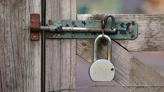 Rusty padlock on gate bolt lock swaying in the wind