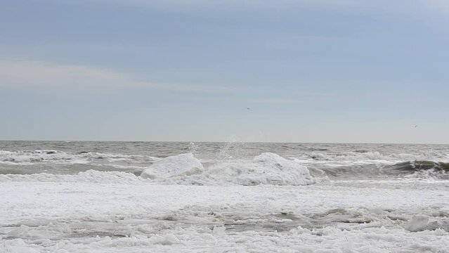 Ice and wave. The frozen sea