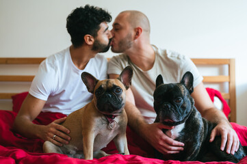 Young interracial gay couple kissing in bedroom, having pair of big dogs in their laps. Homosexual men, Caucasian and Mixed race, relaxing in bed with pair of French bulldogs. LGBTQ and pets  concept