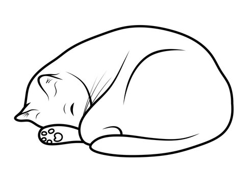recommend clip art: Sleeping cat clipart. Isolated illustration of a cute cat. Pet.