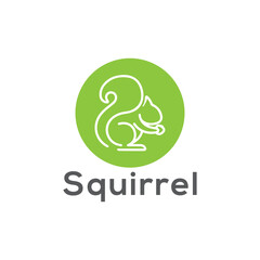 aquirrel logo design vector templet,