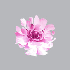 Flowers watercolor illustration.Manual composition.Big Set watercolor elements，Design for textile, wallpapers，Element for design,Greeting card