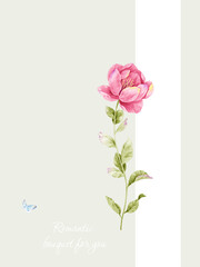 Flowers watercolor illustration.Manual composition.Big Set watercolor elements，Design for textile, wallpapers，Element for design,Greeting card