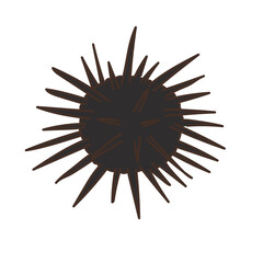 魚　魚介類　水産　海　食べ物　ウニ