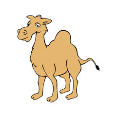 camel cartoon design illustration. desert animal icon, sign and symbol.