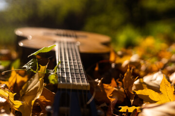 Autumn background with yellow leaves in the park and with a guitar.