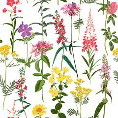 seamless pattern with field flowers, vector drawing wild plants at white background, flowering meadow , hand drawn botanical illustration