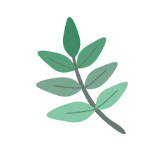 Fototapeta na wymiar Green leaf isolated on white background. illustration. PNG clipart.