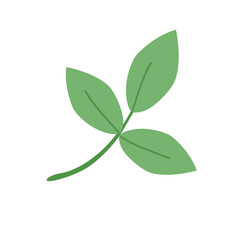 Green leaf isolated on white background.  illustration. PNG clipart.