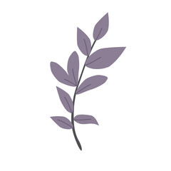 Purple leaf isolated on white background.  illustration. PNG clipart.