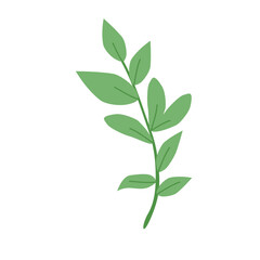 Green leaf isolated on white background.  illustration. PNG clipart.