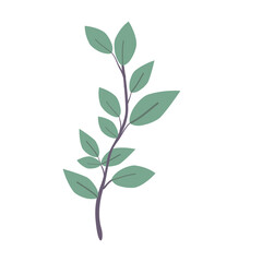 Green leaf isolated on white background.  illustration. PNG clipart.