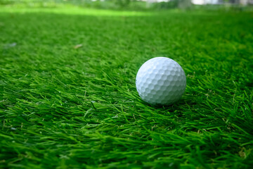 Golf ball on the green