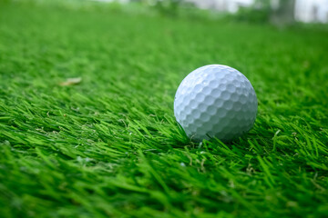 Golf ball on the green