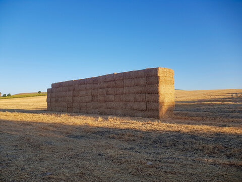 hay harvesting, big wall of hay