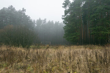 Old soccer field in the middle of pine tree forest on a foggy day. Mysterious and chilly atmosphere