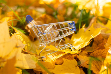 Autumn sale, Black Friday. Mini toy Grocery Shopping trolley cart with fall leaves on autumn nature background. © Angelov