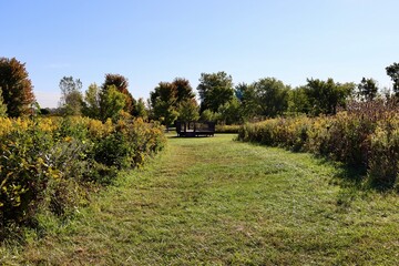 The empty grass path in the countryside field.