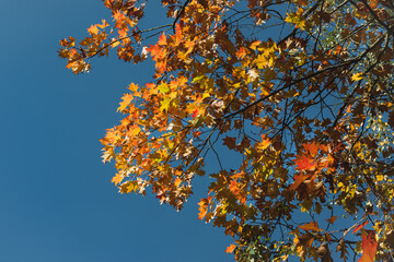 Marburg, Natur, Herbst