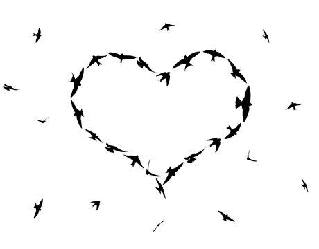 Flock of birds flying in the heart formation  isolated on transparent background, PNG.