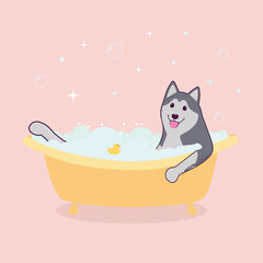 dog in the bath, happy dog