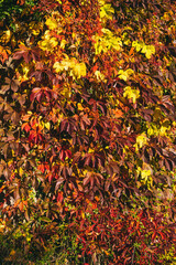 Marburg Herbst Natur