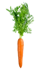 Fotobehang Carrots isolated on white background © BillionPhotos.com