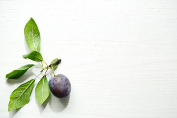 Fresh plum on a branch with green leaves on a white wooden table. Purple ripe plum on a white background, copy space