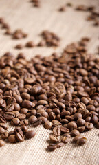 coffee bean on the brawn background