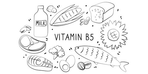 Fototapeta premium Vitamin B5 Pantothenic acid. Groups of healthy products containing vitamins. Set of fruits, vegetables, meats, fish and dairy