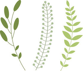 Branch isolated vector illustration set for decor