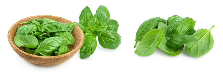 Fresh basil leaf in wooden bowl isolated on white background with full depth of field.