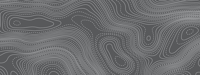 Black and white wavy abstract topographic map contour, lines Pattern background. Topographic map and landscape terrain texture grid. Wavy banner and color geometric form. Vector illustration.