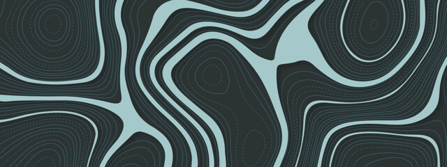 The stylized multicolored wavy abstract topographic map contour, lines Pattern background. Topographic map and landscape terrain texture grid. Wavy banner and color geometric form. Vector illustration