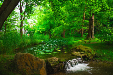 Ruscello d'acqua nel bosco © pierfra